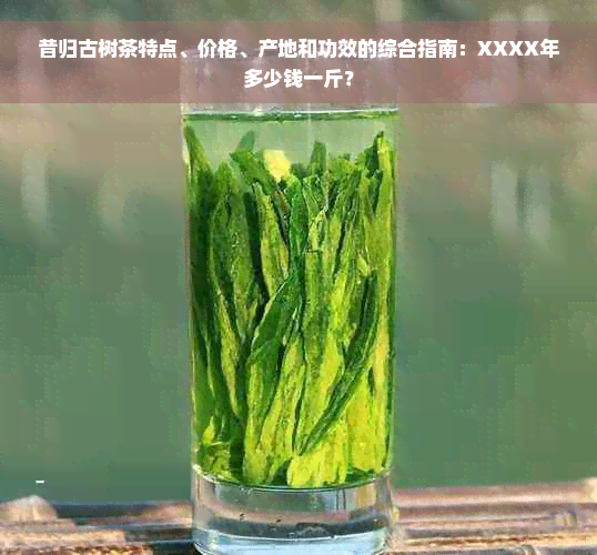 昔归古树茶特点、价格、产地和功效的综合指南：XXXX年多少钱一斤？