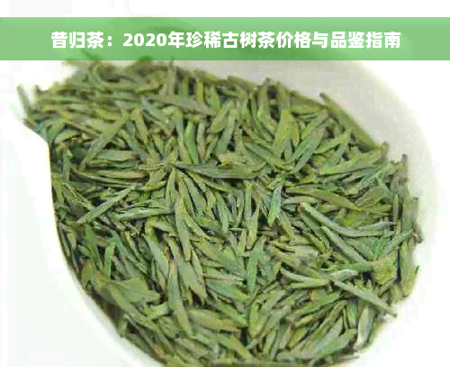 昔归茶：2020年珍稀古树茶价格与品鉴指南