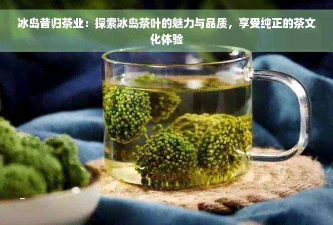 冰岛昔归茶业：探索冰岛茶叶的魅力与品质，享受纯正的茶文化体验