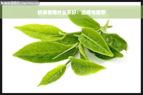 抗衰老喝什么茶好：选择与推荐