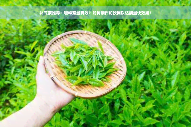 补气茶推荐：哪种茶最有效？如何制作和饮用以达到最快效果？