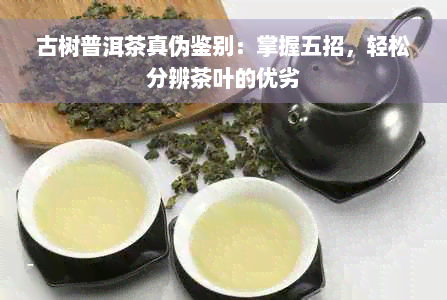 古树普洱茶真伪鉴别：掌握五招，轻松分辨茶叶的优劣