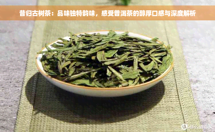 昔归古树茶：品味独特韵味，感受普洱茶的醇厚口感与深度解析