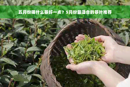 五月份喝什么茶好一点？5月份最适合的茶叶推荐