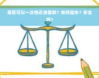 是否可以一次性还清借款？如何操作？安全吗？