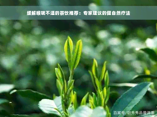 缓解喉咙不适的茶饮推荐：专家建议的健自然疗法