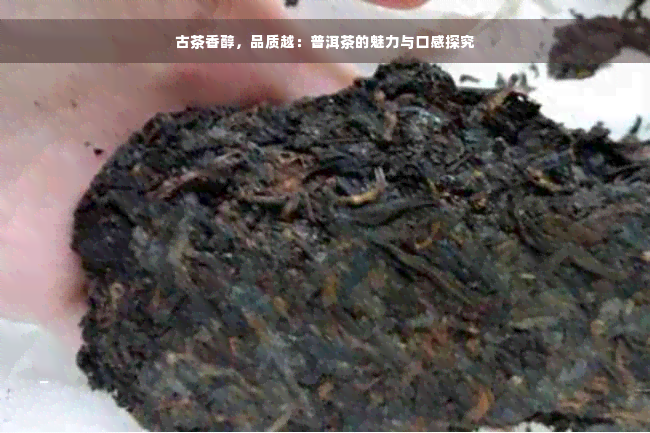 古茶香醇，品质越：普洱茶的魅力与口感探究