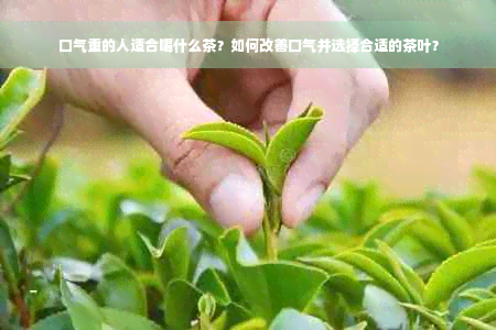 口气重的人适合喝什么茶？如何改善口气并选择合适的茶叶？