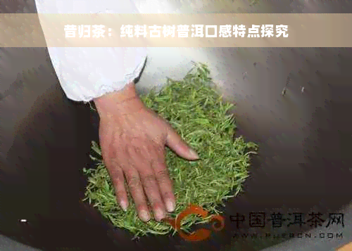 昔归茶：纯料古树普洱口感特点探究