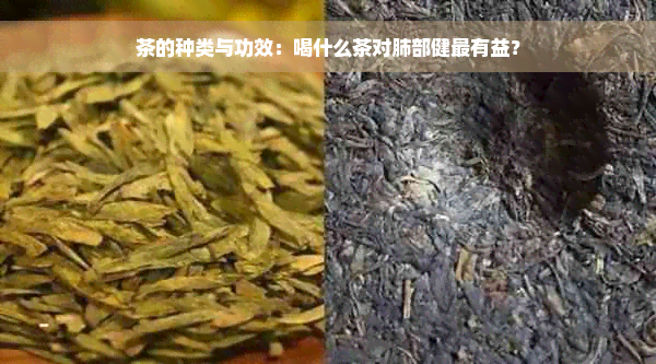 茶的种类与功效：喝什么茶对肺部健最有益？