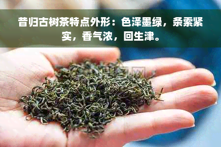 昔归古树茶特点外形：色泽墨绿，条索紧实，香气浓，回生津。