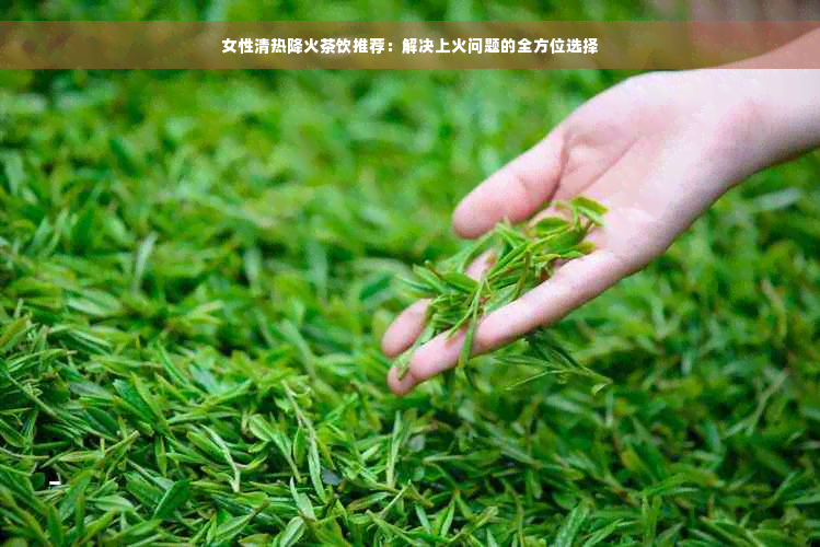 女性清热降火茶饮推荐：解决上火问题的全方位选择