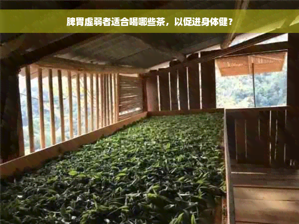 脾胃虚弱者适合喝哪些茶，以促进身体健？