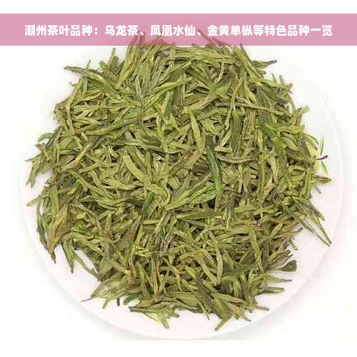 潮州茶叶品种：乌龙茶、凤凰水仙、金黄单枞等特色品种一览