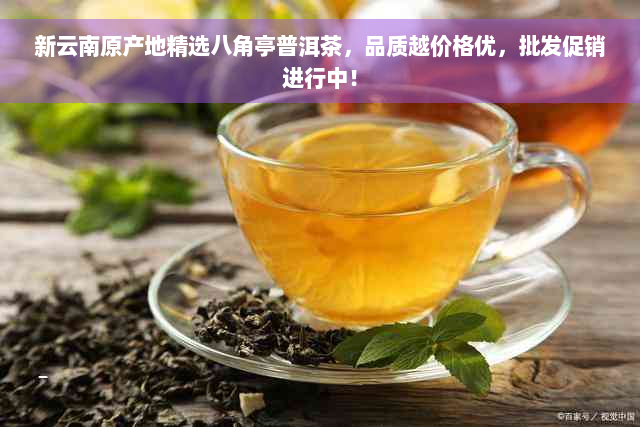 新云南原产地精选八角亭普洱茶，品质越价格优，批发促销进行中！