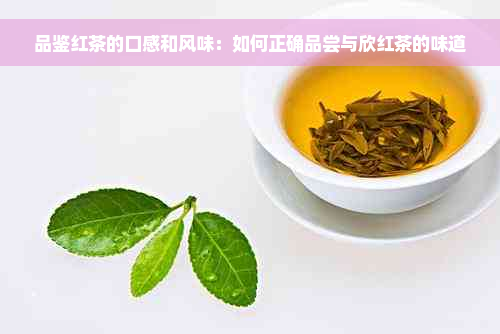 品鉴红茶的口感和风味：如何正确品尝与欣红茶的味道