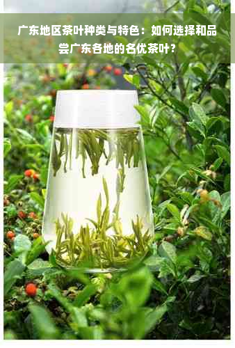 广东地区茶叶种类与特色：如何选择和品尝广东各地的名优茶叶？