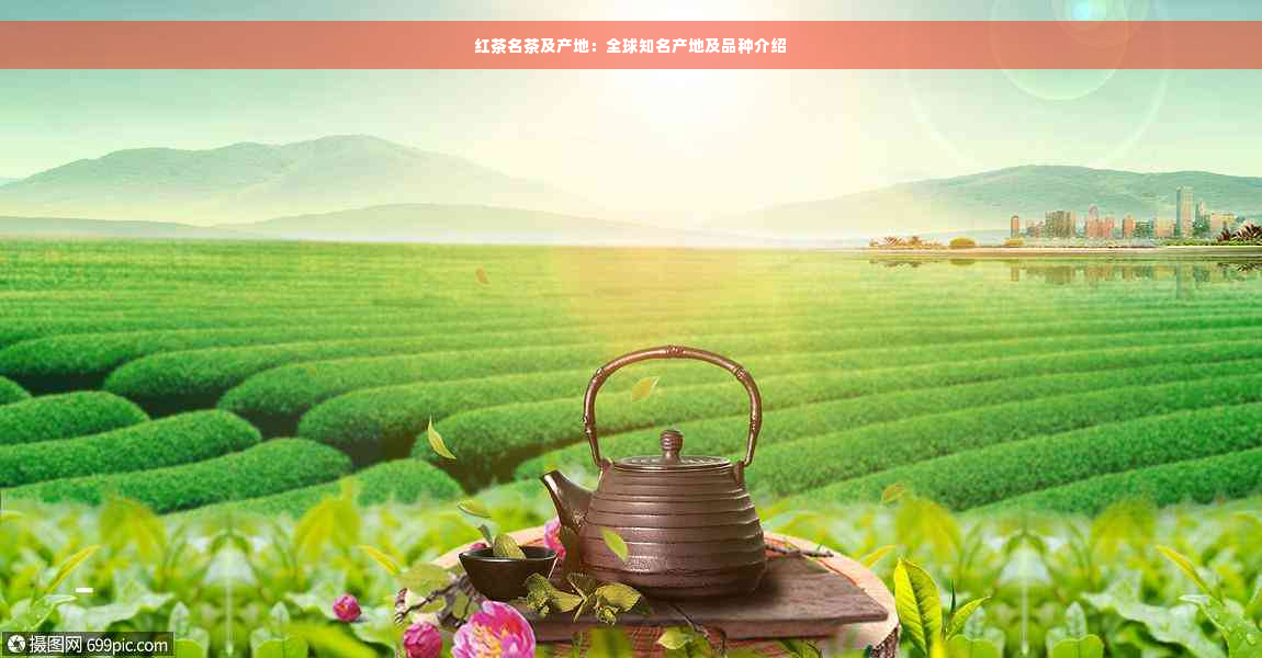 红茶名茶及产地：全球知名产地及品种介绍