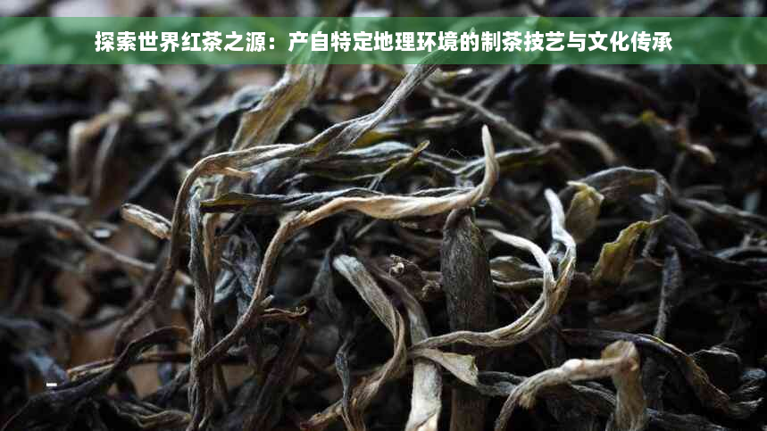 探索世界红茶之源：产自特定地理环境的制茶技艺与文化传承