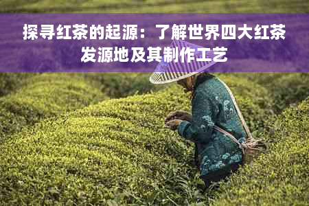探寻红茶的起源：了解世界四大红茶发源地及其制作工艺