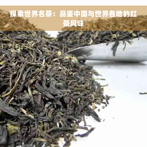 探索世界名茶：品鉴中国与世界各地的红茶风味