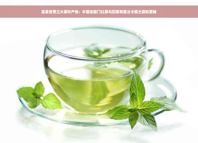 探索世界三大茶叶产地：中国安徽门红茶与印度斯里兰卡锡兰茶的奥秘