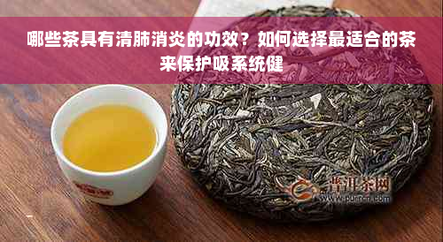 哪些茶具有清肺消炎的功效？如何选择最适合的茶来保护吸系统健