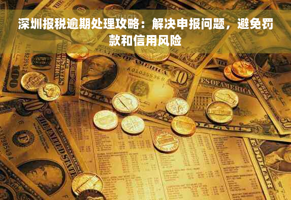 深圳报税逾期处理攻略：解决申报问题，避免罚款和信用风险