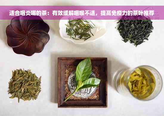 适合咽炎喝的茶：有效缓解咽喉不适，提高免疫力的茶叶推荐