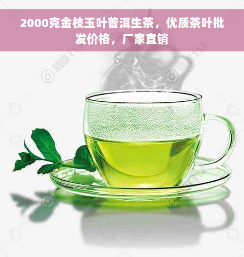 2000克金枝玉叶普洱生茶，优质茶叶批发价格，厂家直销