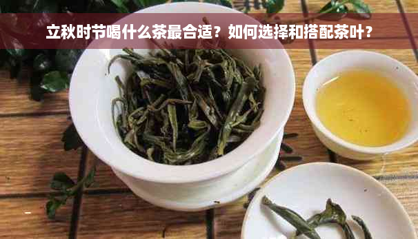 立秋时节喝什么茶最合适？如何选择和搭配茶叶？