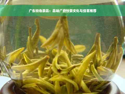 广东特色茶品：品味广府饮茶文化与佳茗推荐