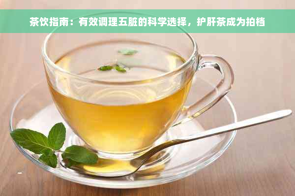 茶饮指南：有效调理五脏的科学选择，护肝茶成为拍档