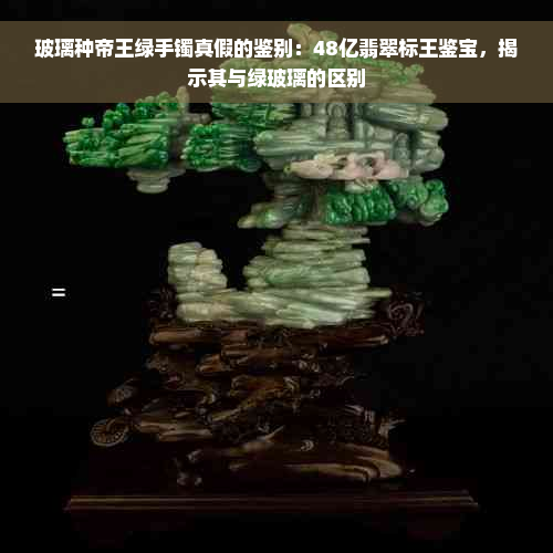 玻璃种帝王绿手镯真假的鉴别：48亿翡翠标王鉴宝，揭示其与绿玻璃的区别