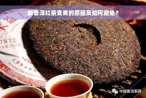 新普洱红茶变黄的原因及如何避免？