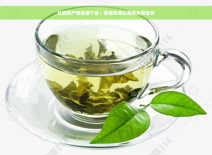 红茶的产地是哪个省：掌握优质红茶的关键省份