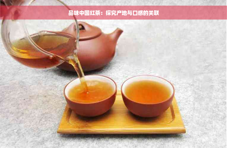 品味中国红茶：探究产地与口感的关联
