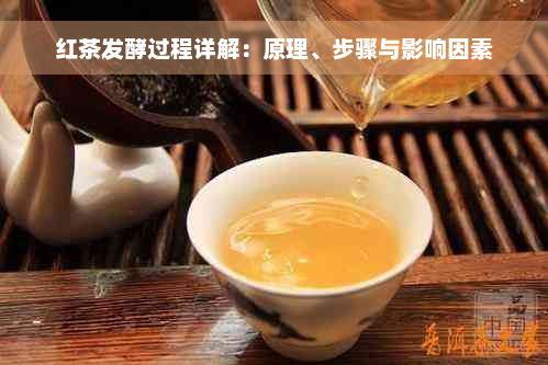 红茶发酵过程详解：原理、步骤与影响因素