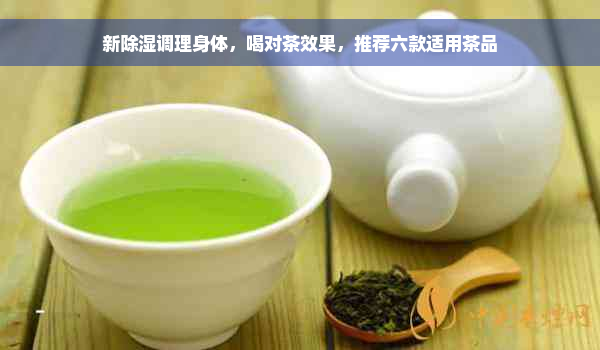 新除湿调理身体，喝对茶效果，推荐六款适用茶品