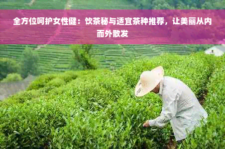 全方位呵护女性健：饮茶秘与适宜茶种推荐，让美丽从内而外散发