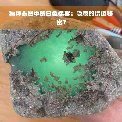 糯种翡翠中的白色棉絮：隐藏的增值秘密？