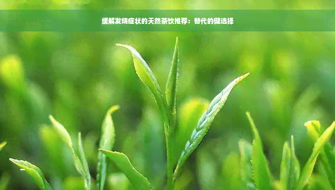 缓解发烧症状的天然茶饮推荐：替代的健选择