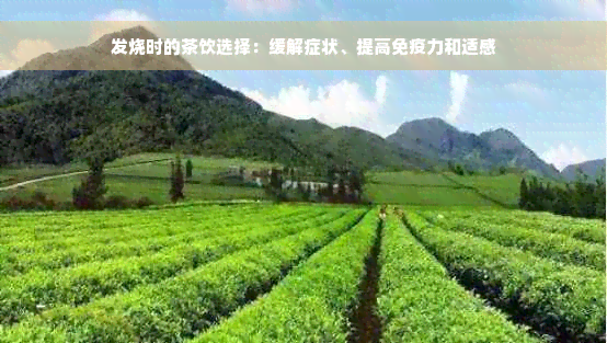 发烧时的茶饮选择：缓解症状、提高免疫力和适感