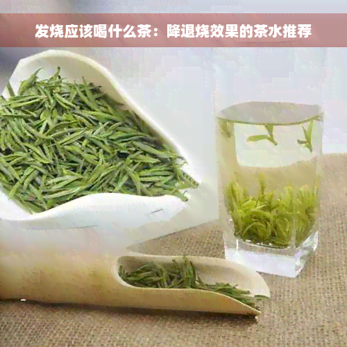 发烧应该喝什么茶：降退烧效果的茶水推荐