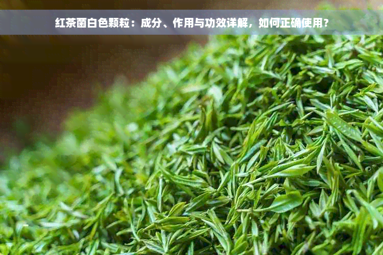 红茶菌白色颗粒：成分、作用与功效详解，如何正确使用？