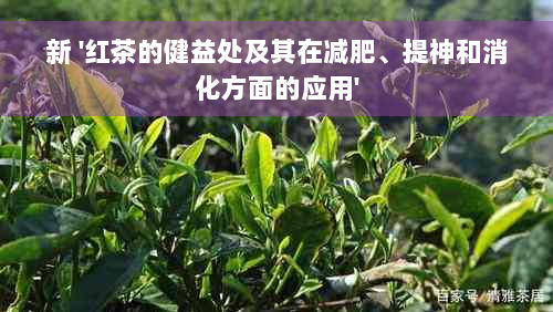 新 '红茶的健益处及其在减肥、提神和消化方面的应用'