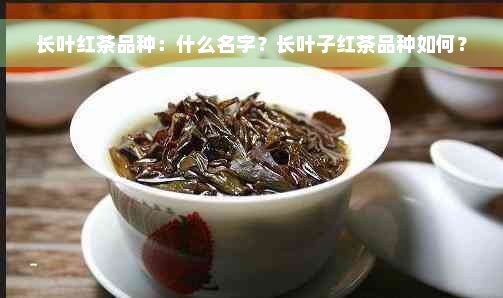 长叶红茶品种：什么名字？长叶子红茶品种如何？