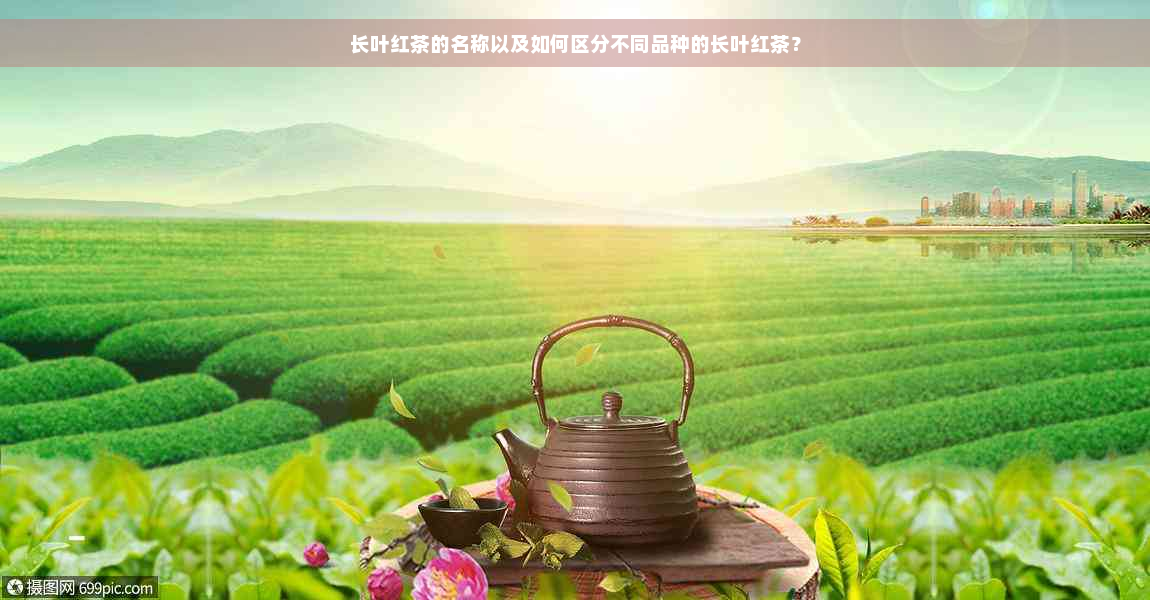 长叶红茶的名称以及如何区分不同品种的长叶红茶？