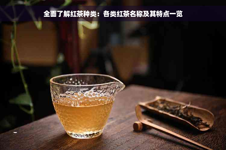 全面了解红茶种类：各类红茶名称及其特点一览