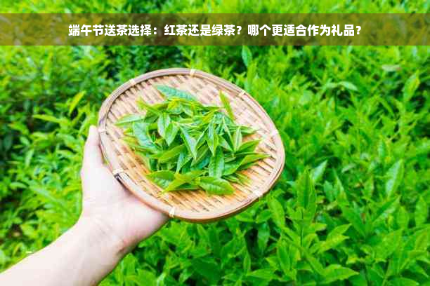 端午节送茶选择：红茶还是绿茶？哪个更适合作为礼品？